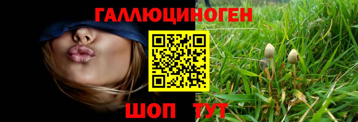 Псилоцибиновые грибы Psilocybe  Псилоцибиновые грибы ЛСД  Лыткарино  Вход с VPN 